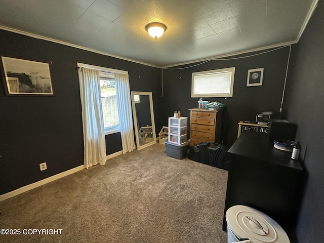 office area with carpet floors, baseboards, and crown molding