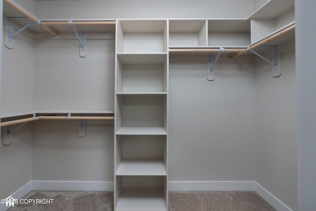 spacious closet with carpet flooring