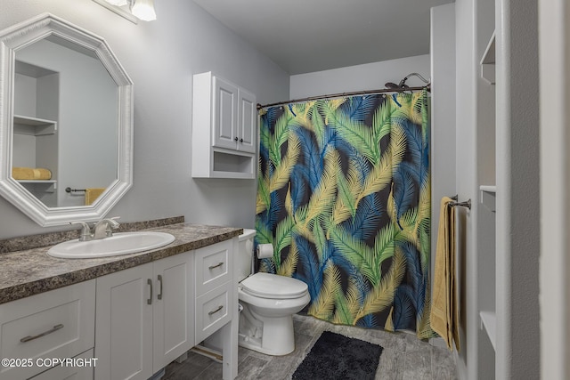 full bath featuring toilet, vanity, and a shower with curtain