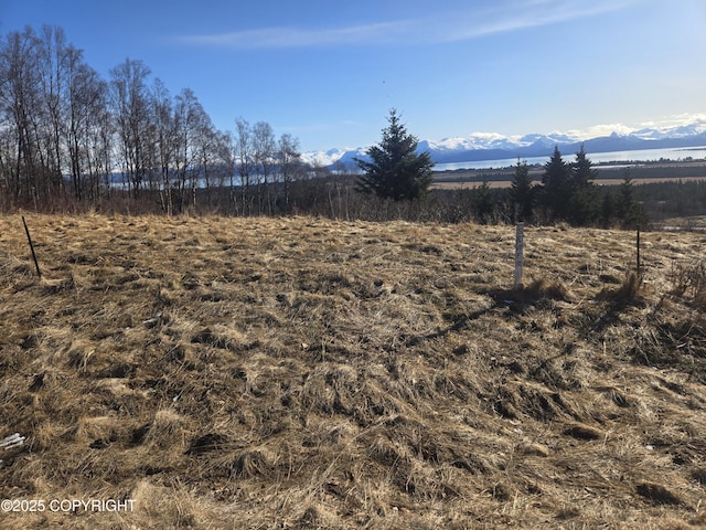 4690 Craftsman Rd, Homer AK, 99603 land for sale