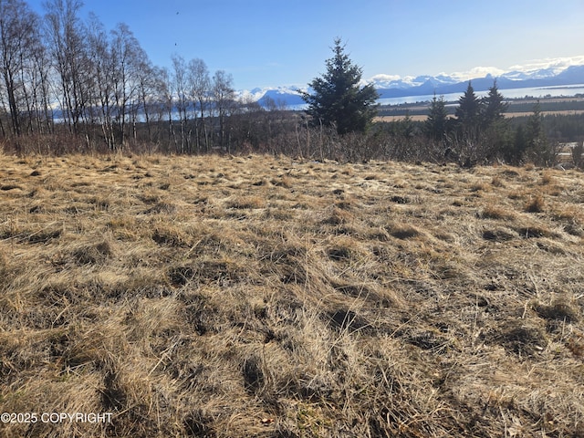 Listing photo 3 for 4690 Craftsman Rd, Homer AK 99603