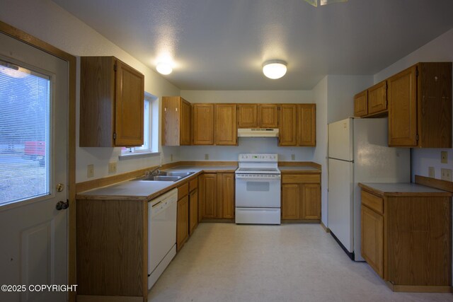 kitchen featuring brown cabinetry, white appliances, a sink, and under cabinet range hood