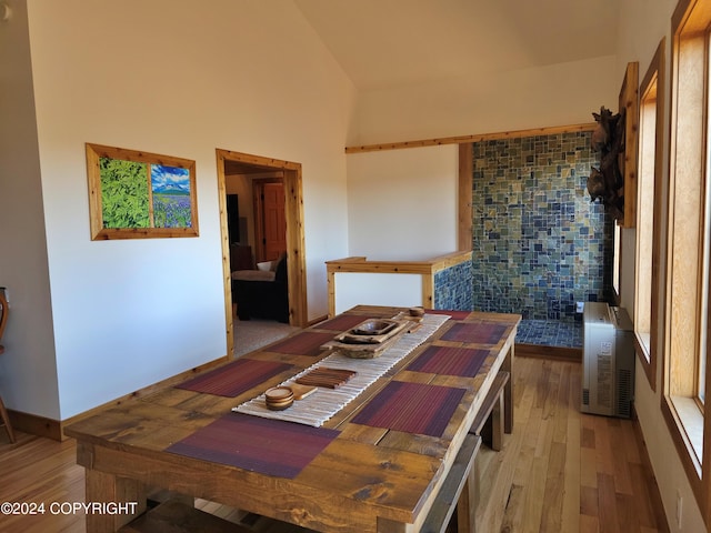 interior space featuring high vaulted ceiling, heating unit, and light wood finished floors