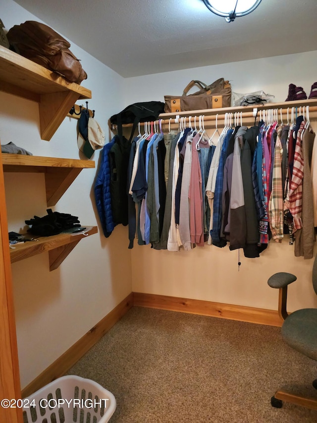 view of spacious closet