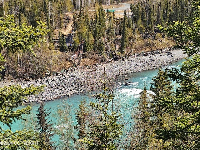 property view of water with a forest view