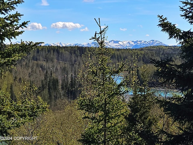 mountain view featuring a forest view