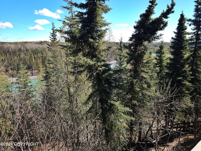 view of nature with a forest view