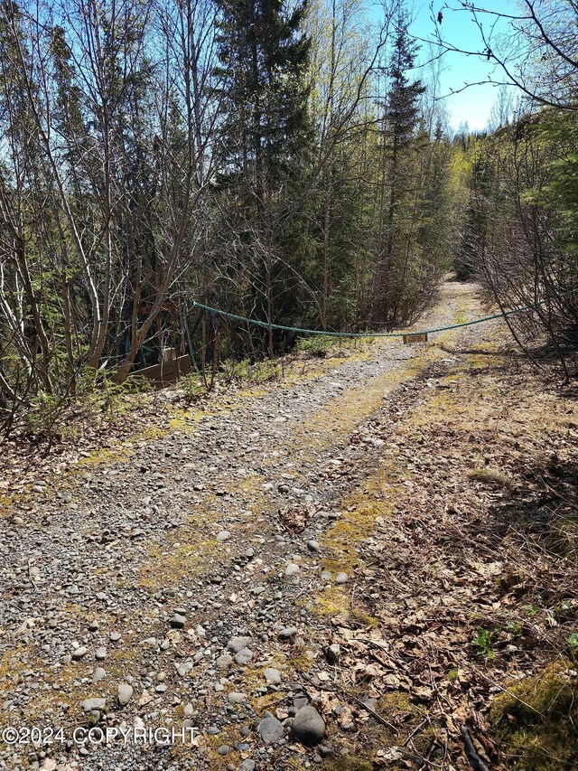 view of road featuring a wooded view