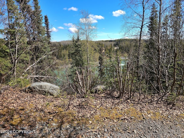 view of landscape with a wooded view