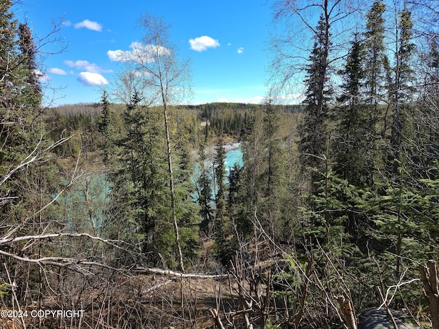 view of local wilderness with a wooded view