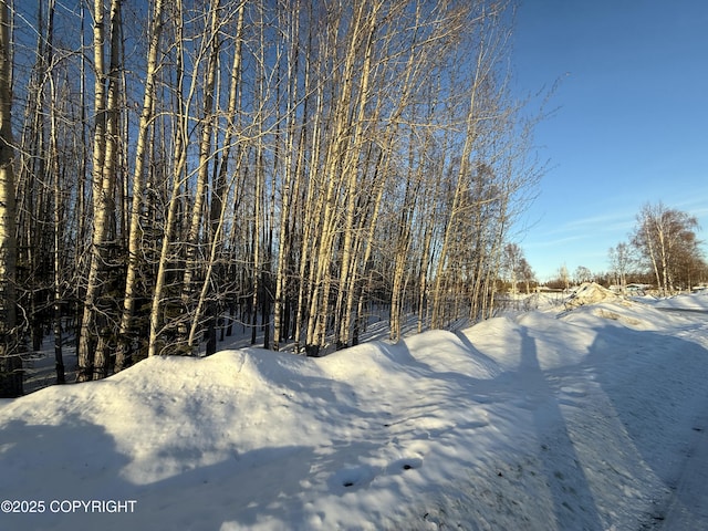 Listing photo 3 for L2B25 Nphs Blvd, North Pole AK 99705