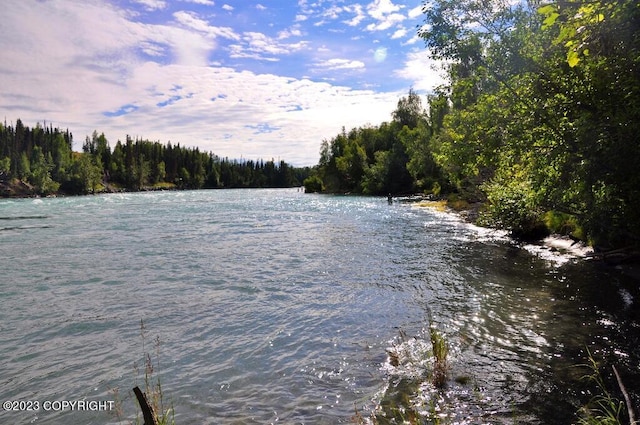 property view of water featuring a view of trees