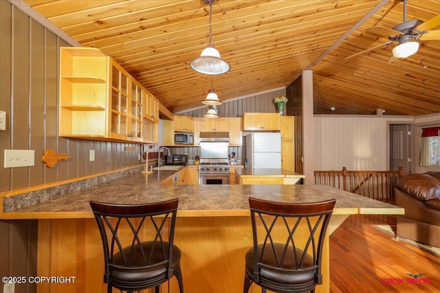 kitchen featuring wood finished floors, a peninsula, a sink, stainless steel appliances, and under cabinet range hood