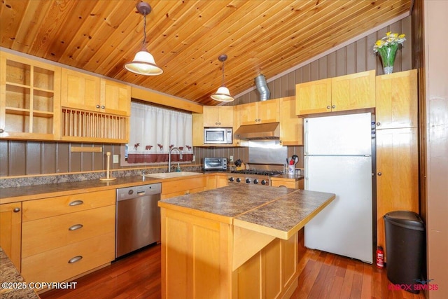 kitchen featuring dark wood-style floors, a sink, vaulted ceiling, under cabinet range hood, and appliances with stainless steel finishes