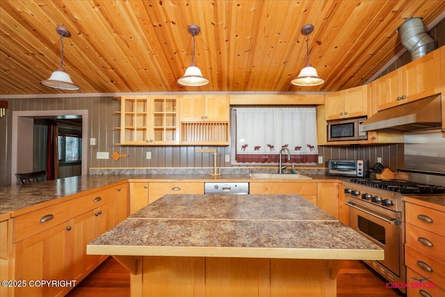 kitchen with under cabinet range hood, a sink, appliances with stainless steel finishes, a toaster, and vaulted ceiling