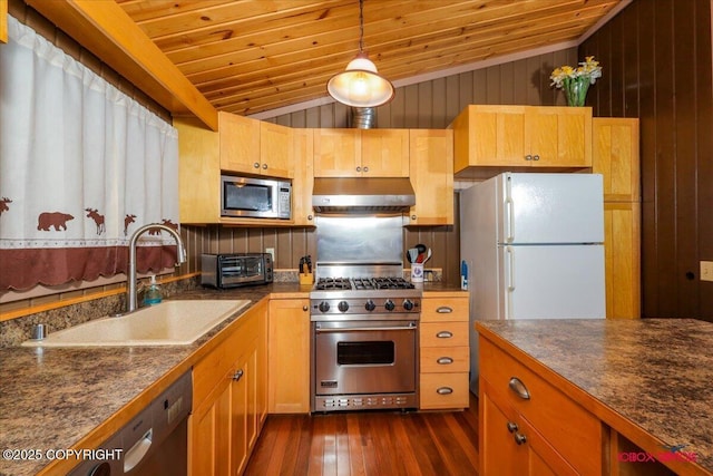 kitchen featuring dark countertops, under cabinet range hood, vaulted ceiling, stainless steel appliances, and a sink