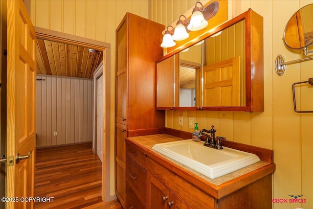 bathroom with wood finished floors and vanity