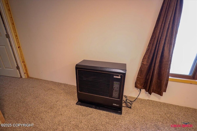 details featuring heating unit and carpet floors