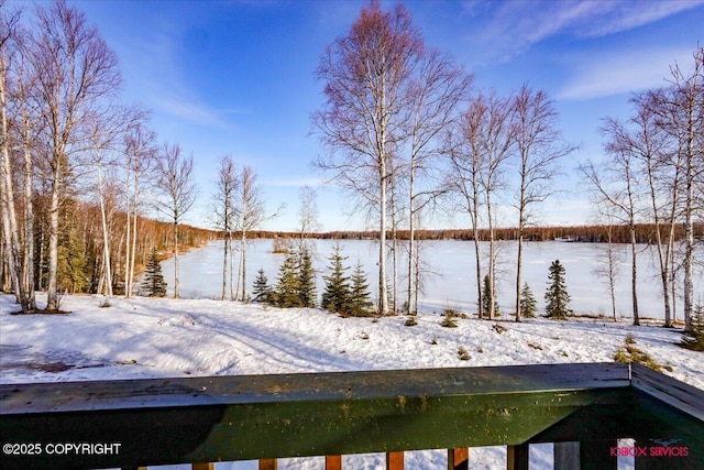 yard layered in snow featuring a water view