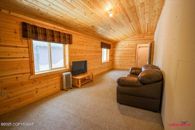 living room with plenty of natural light, radiator, wood ceiling, and carpet