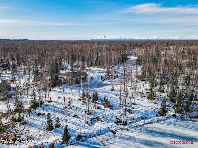 snowy aerial view with a wooded view