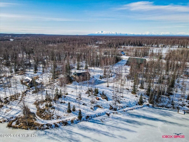 snowy aerial view featuring a mountain view