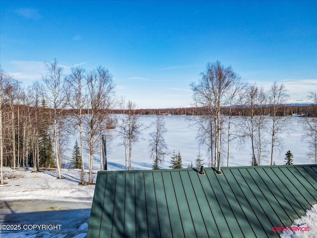 yard layered in snow with a water view