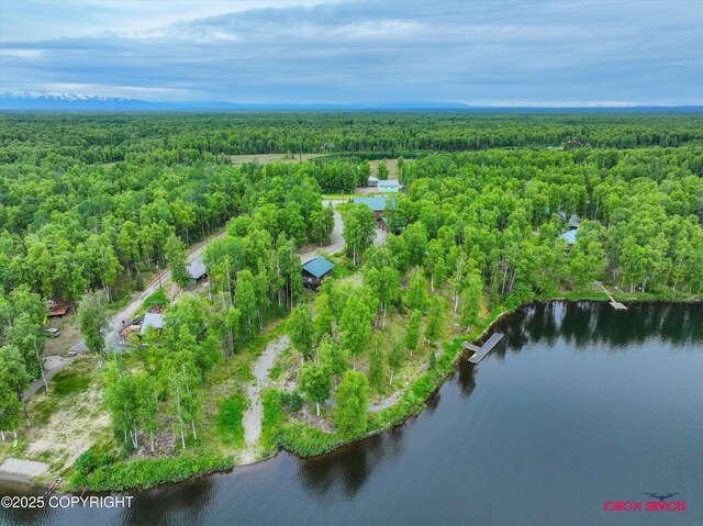 12385 N Michigan St, Willow, AK 99688 - photo 44
