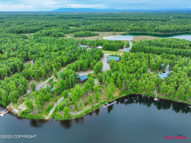12385 N Michigan St, Willow, AK 99688 - photo 45