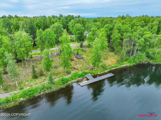 12385 N Michigan St, Willow, AK 99688 - photo 46