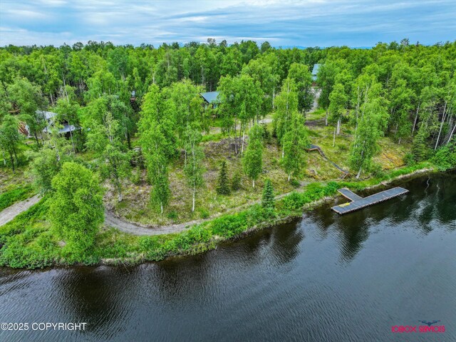 12385 N Michigan St, Willow, AK 99688 - photo 47