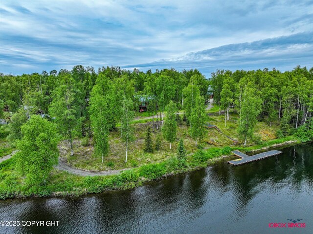 12385 N Michigan St, Willow, AK 99688 - photo 48