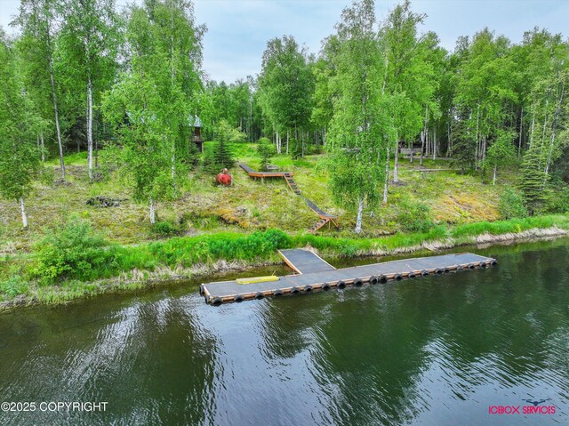 12385 N Michigan St, Willow, AK 99688 - photo 51