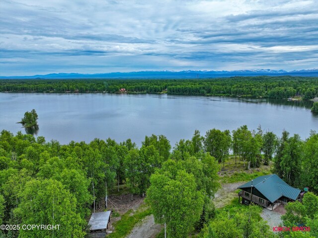 12385 N Michigan St, Willow, AK 99688 - photo 52