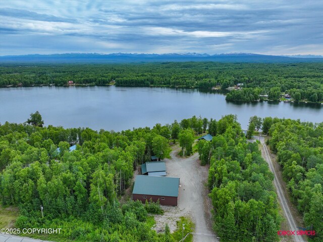 12385 N Michigan St, Willow, AK 99688 - photo 53