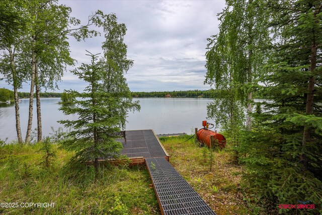 12385 N Michigan St, Willow, AK 99688 - photo 61