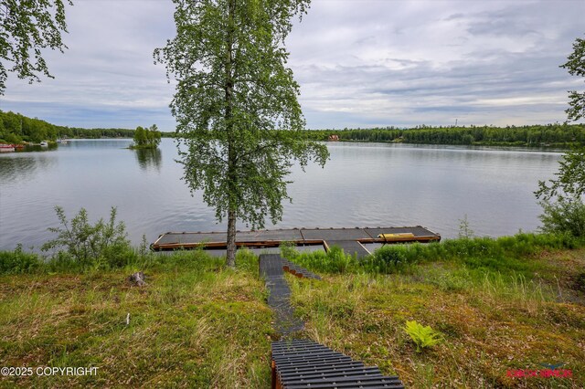 12385 N Michigan St, Willow, AK 99688 - photo 62
