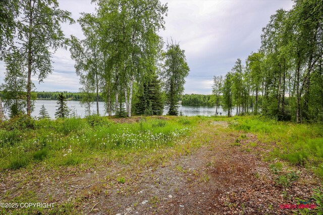 12385 N Michigan St, Willow, AK 99688 - photo 65