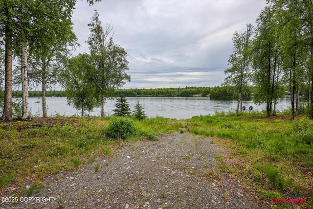 12385 N Michigan St, Willow, AK 99688 - photo 66