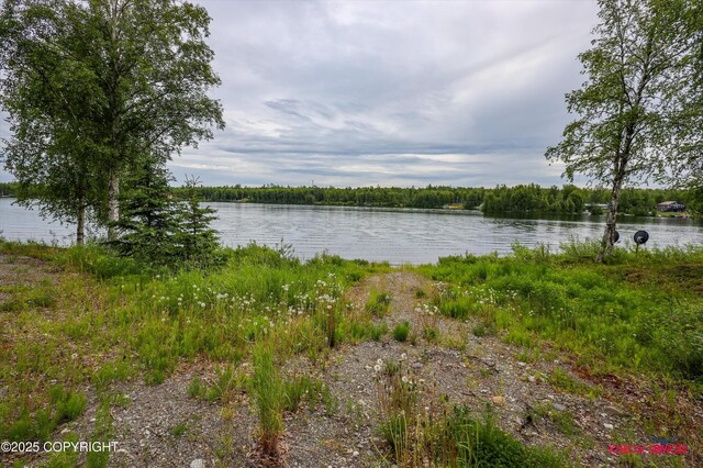 12385 N Michigan St, Willow, AK 99688 - photo 67
