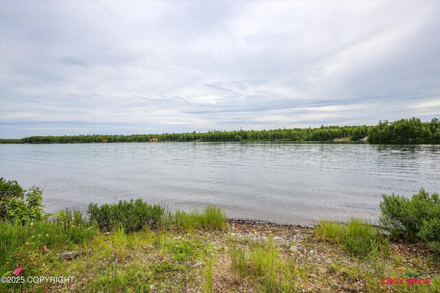 12385 N Michigan St, Willow, AK 99688 - photo 68