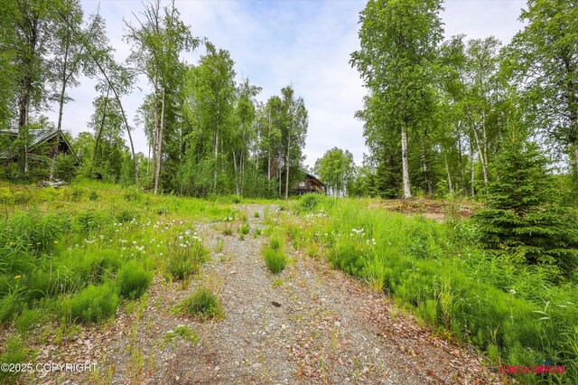 12385 N Michigan St, Willow, AK 99688 - photo 69