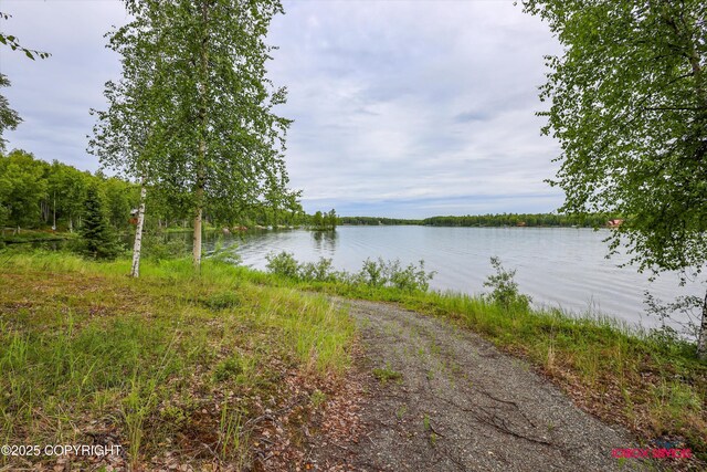 12385 N Michigan St, Willow, AK 99688 - photo 70