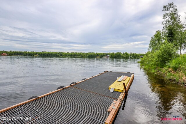 12385 N Michigan St, Willow, AK 99688 - photo 74