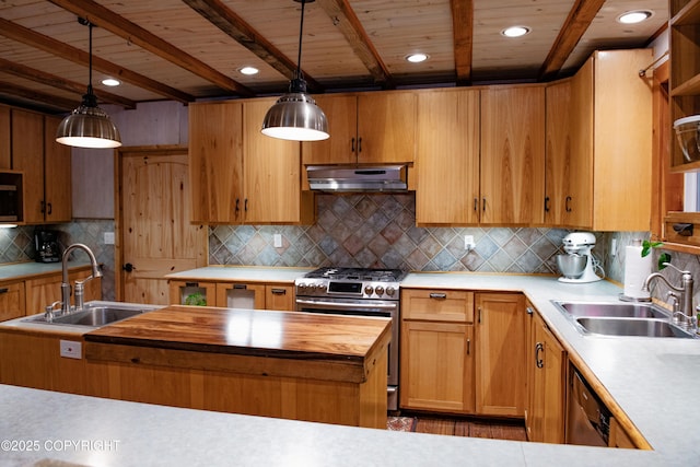 kitchen with under cabinet range hood, stainless steel appliances, open shelves, and a sink