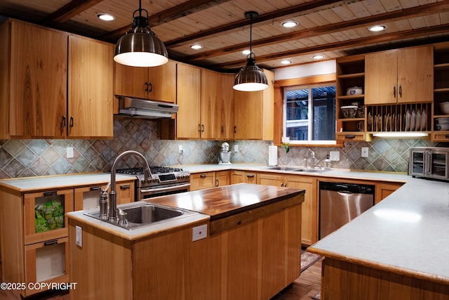 kitchen with under cabinet range hood, open shelves, a sink, a center island, and stainless steel appliances