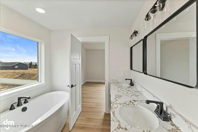 bathroom featuring double vanity, a freestanding tub, wood finished floors, and a sink