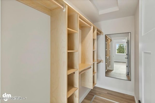 walk in closet featuring wood finished floors