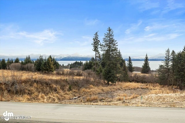 view of local wilderness with a water and mountain view