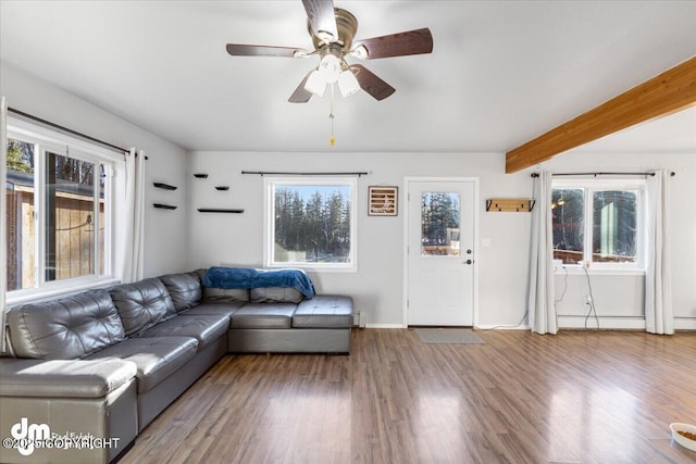 living room featuring a wealth of natural light, beamed ceiling, wood finished floors, and ceiling fan